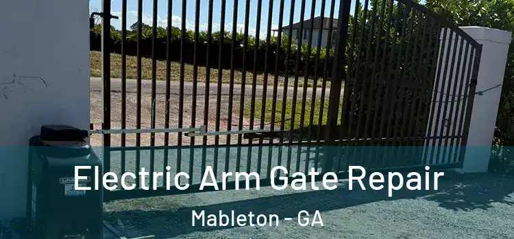 Electric Arm Gate Repair Mableton - GA